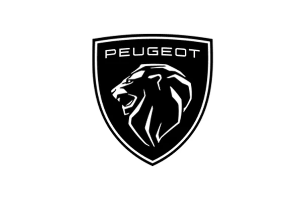 PEUGEOT PROFESSIONAL